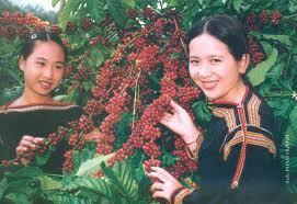 គណៈកម្មាធិការទទួលបន្ទុក Tay Nguyen លាតត្រដាងអនុវត្តកិច្ចការ២០១៤